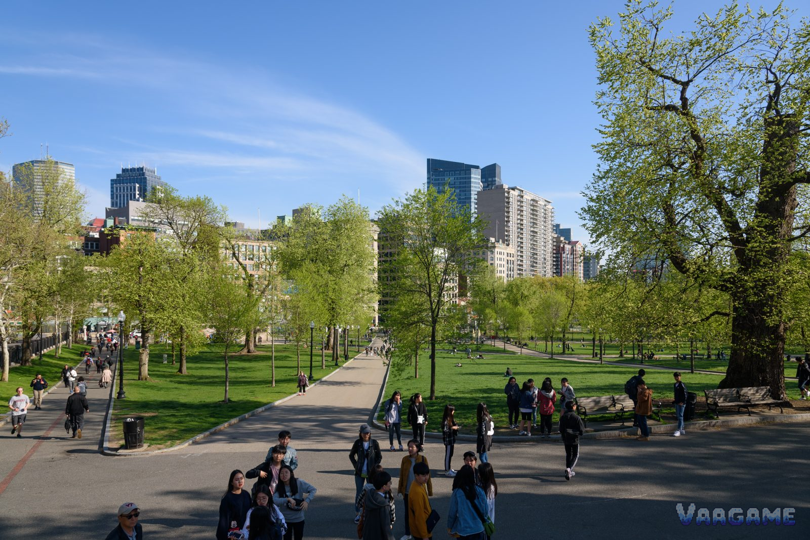 Boston Common park lawns and paths in spring