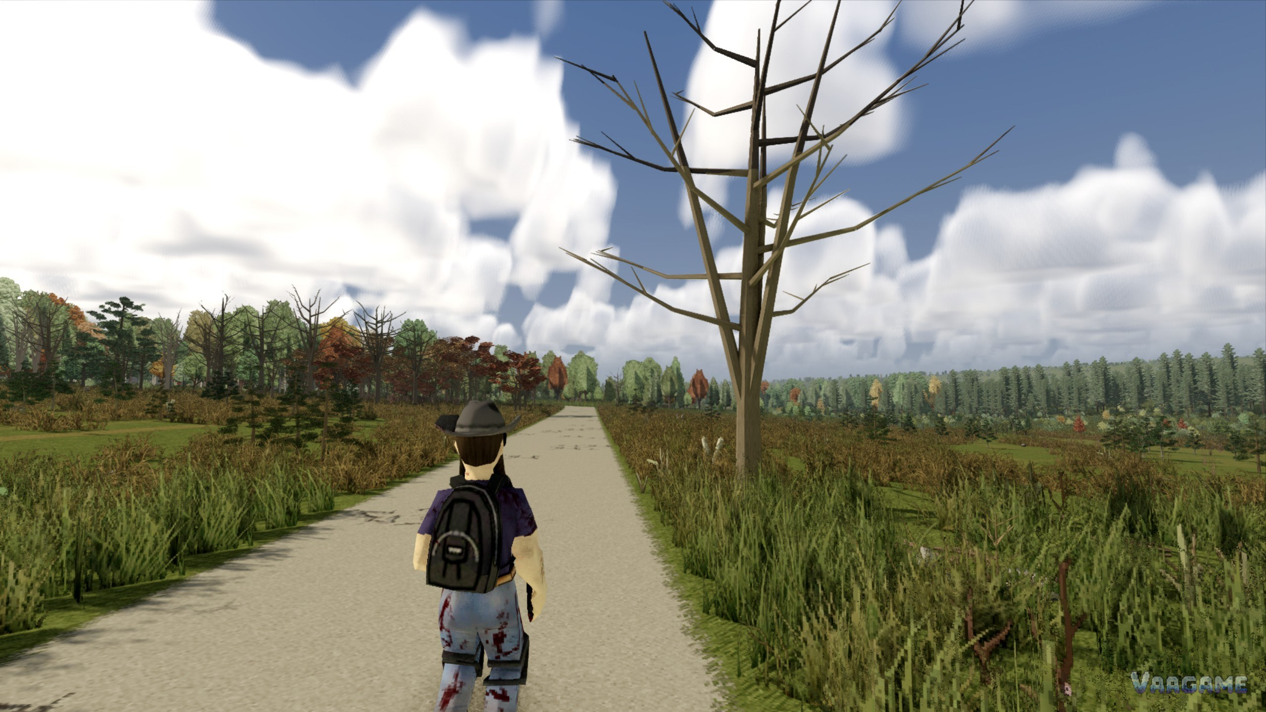 Third person on a country road under a big cloud sky