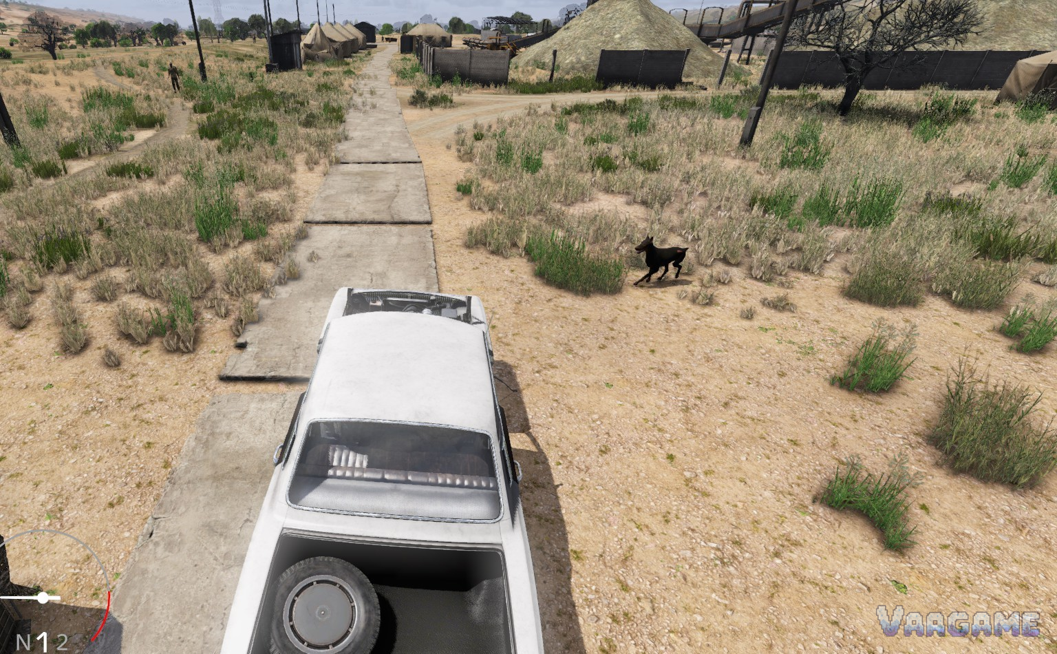 A black dog running through a desert settlement