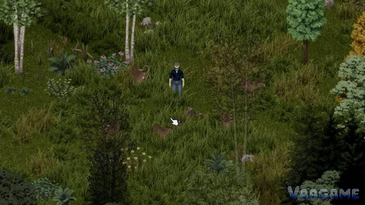 Build 42 deer/tracking reference image