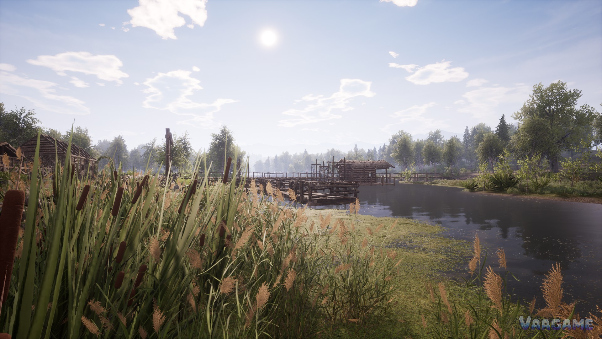 Lakeside fishing pier beyond tall reeds