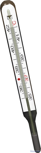 A Medical Thermometer can confirm Fever; Fever still has several possible causes, so pair the reading with symptoms and recent exposure.