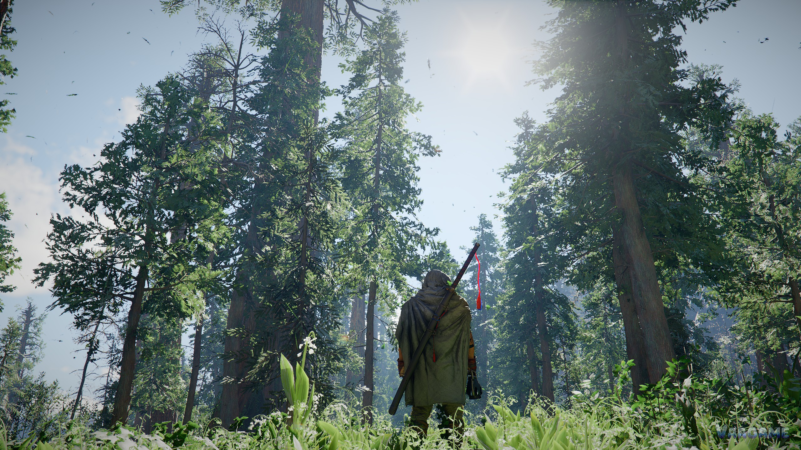 Crimson Desert Settings and Performance Guide: PC Specs, Controls, and Fixes