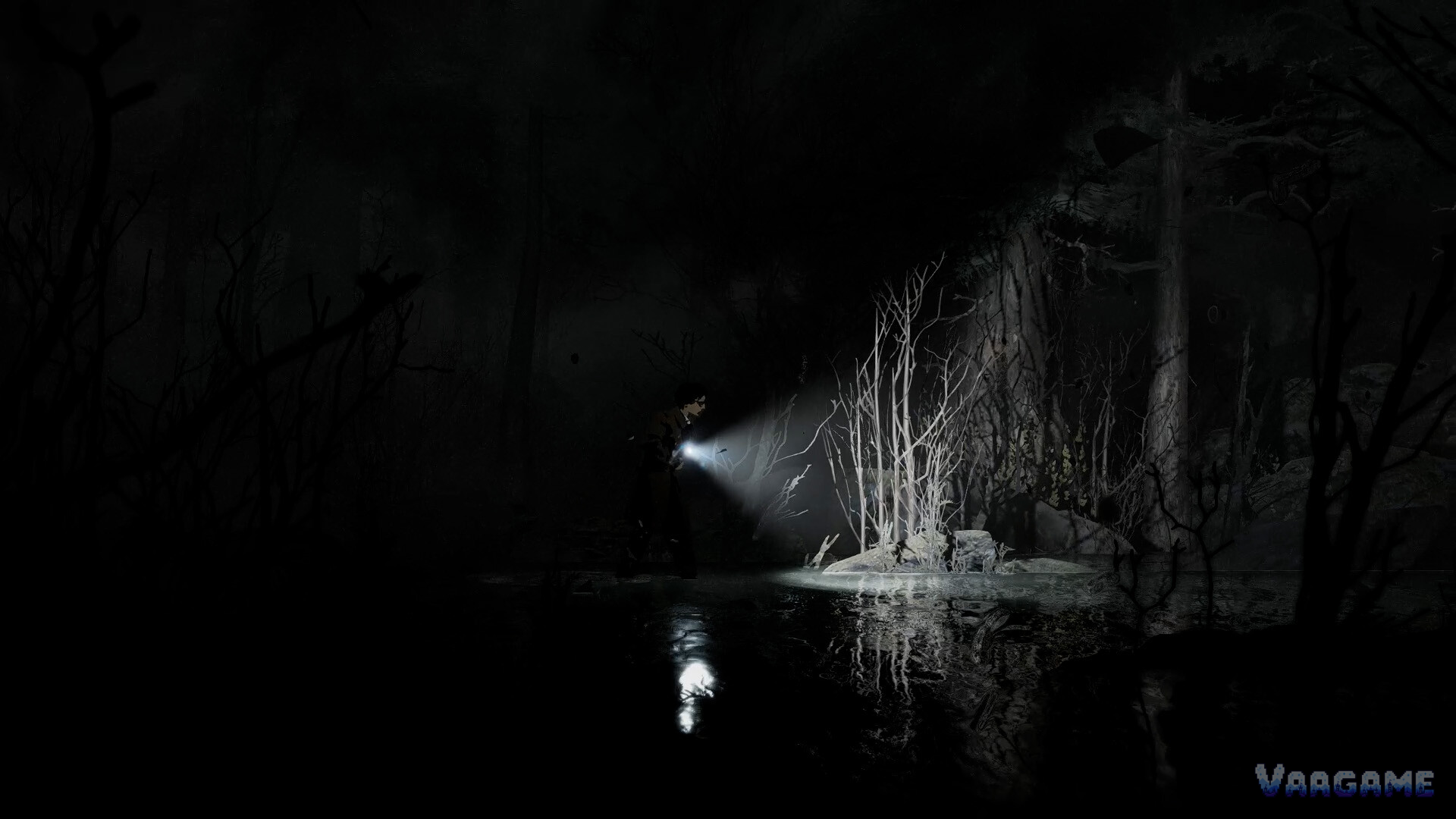 Flashlight beam in a dark forest in Silver Pines