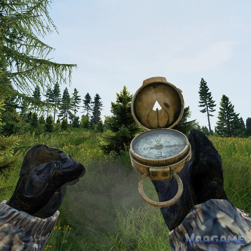 A compass answers “which direction am I facing?”—not “where exactly am I?”