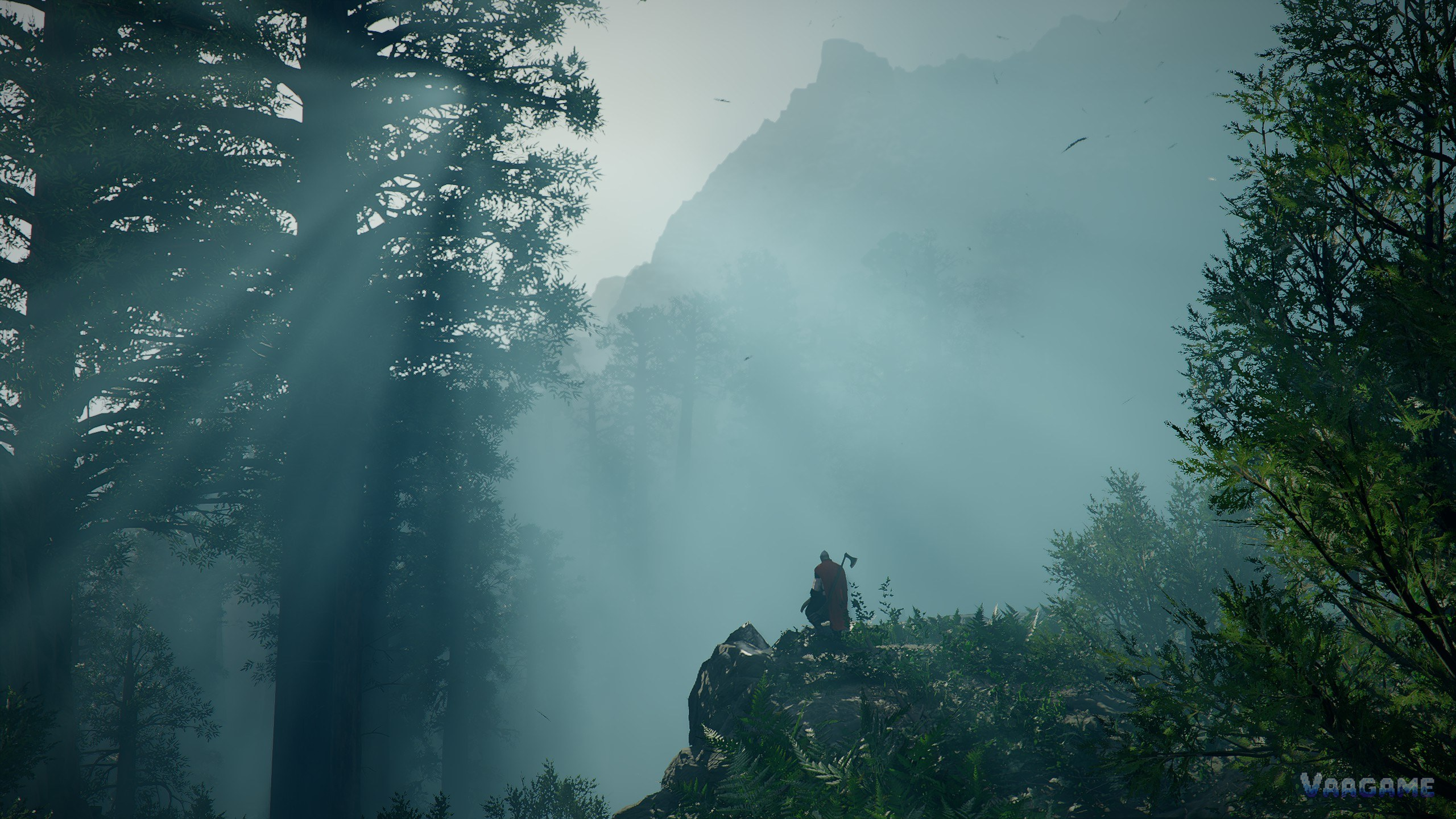 A misty valley floor: slow down in low-visibility ground and check side paths instead of sprinting the main road.