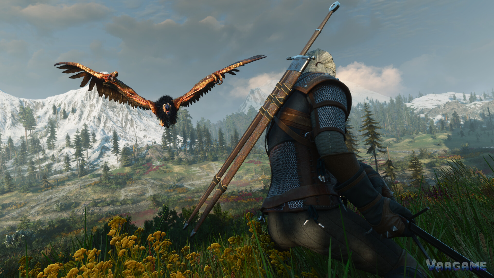 Geralt facing a royal griffin in a flower meadow, both swords on his back
