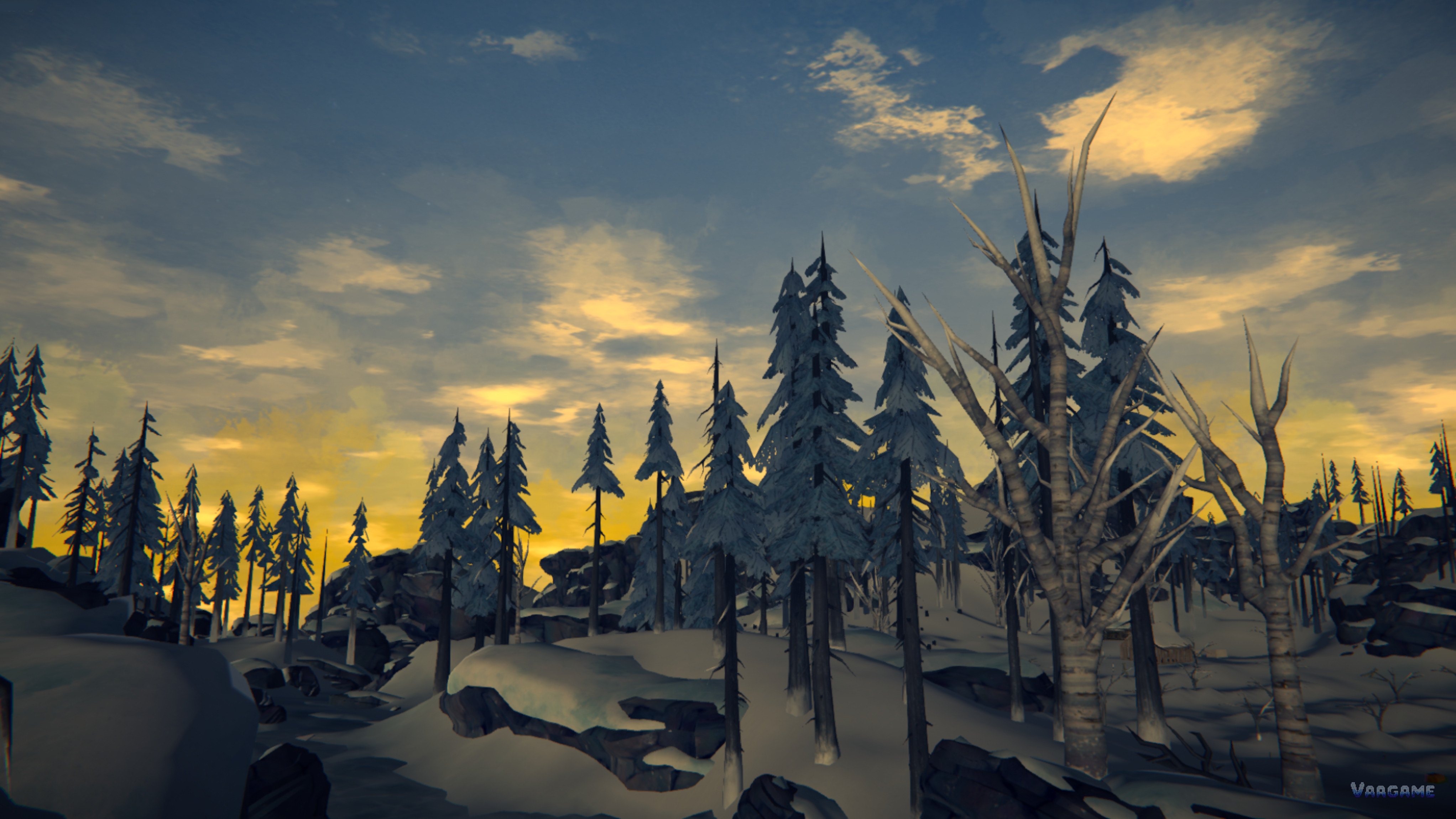 Sunset over a snowy pine forest