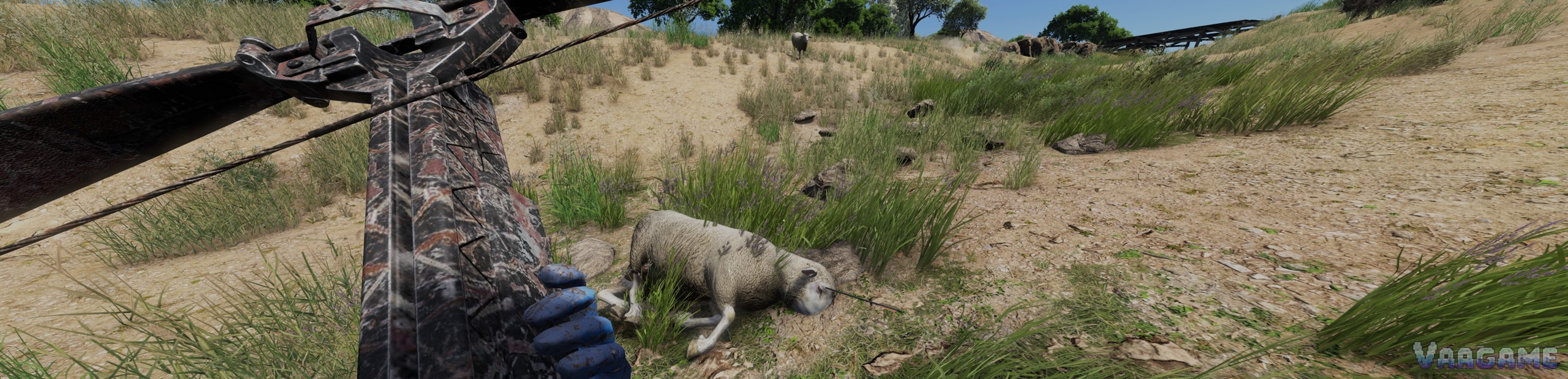 A mouflon brought down on the steppe