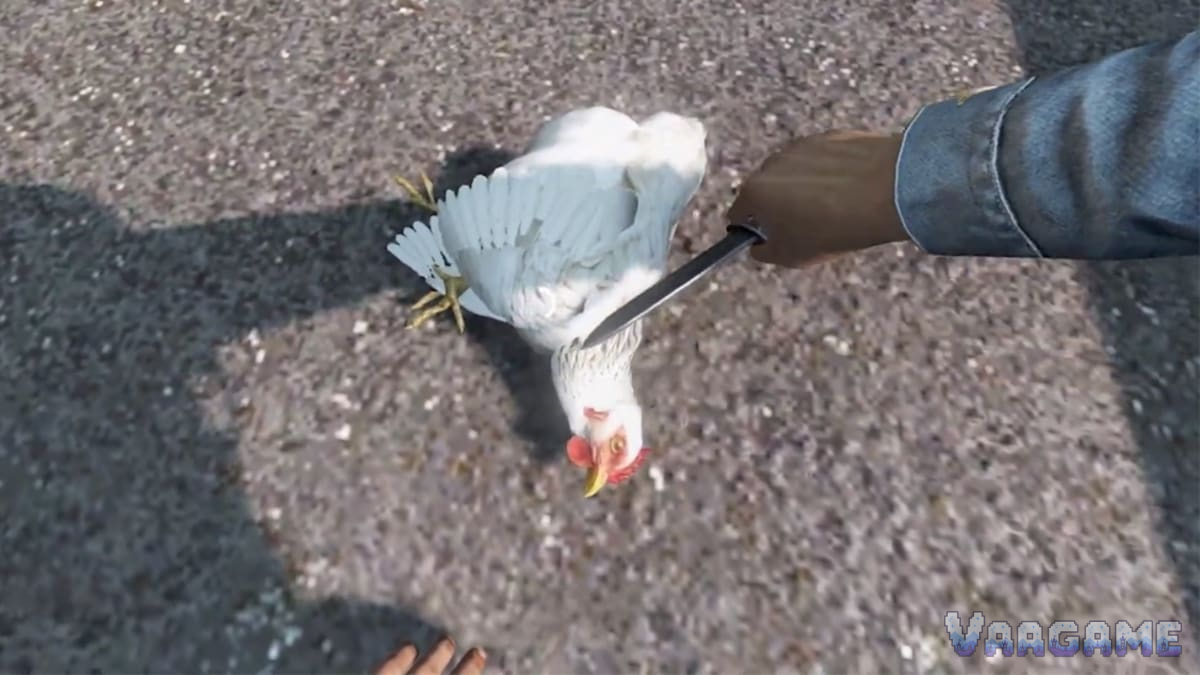 Skinning a chicken turns a simple settlement encounter into a repeatable food route, but it also creates a hygiene step.