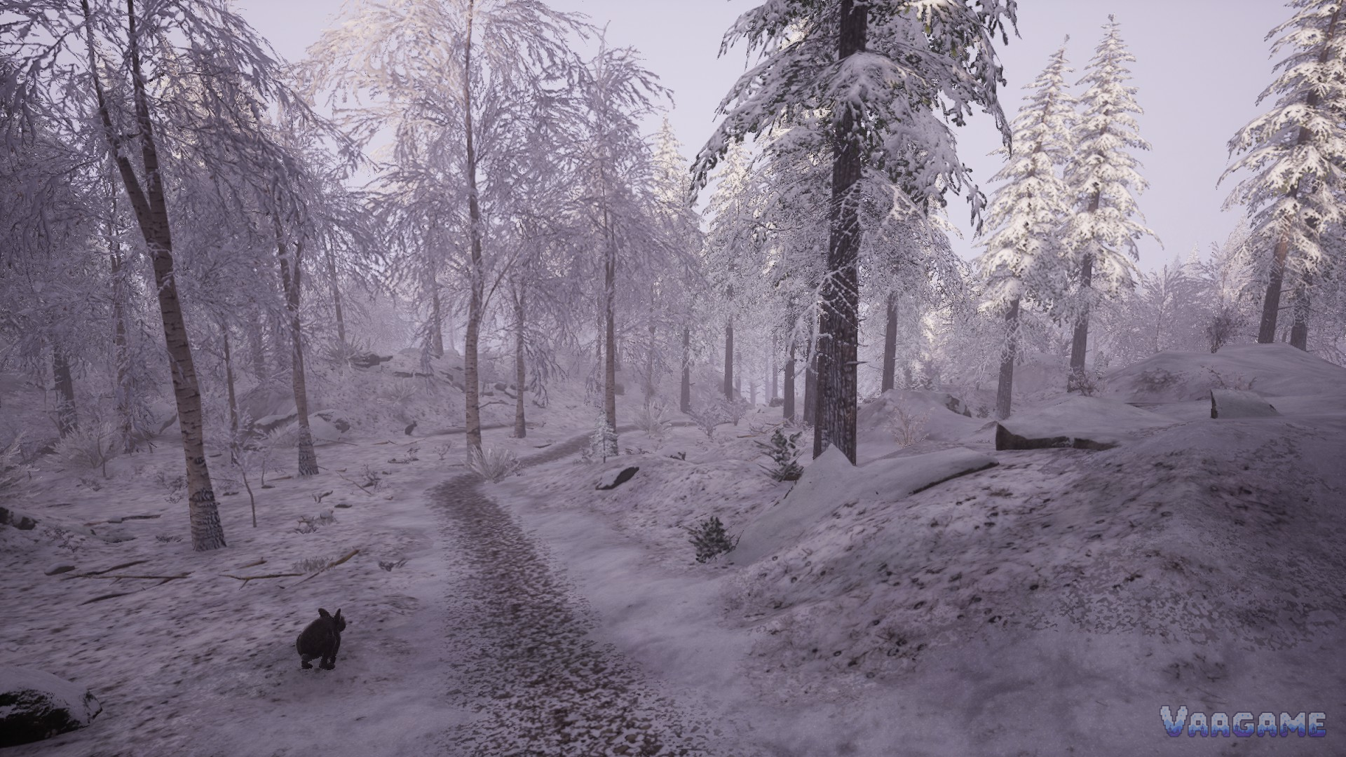 Winter forest path with a rabbit