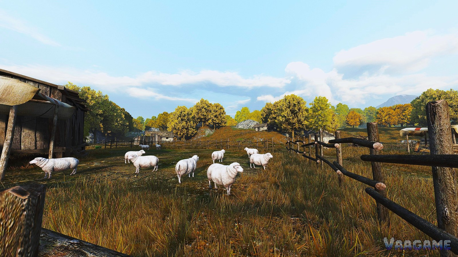 Sheep grazing in a Bannerlord village pasture