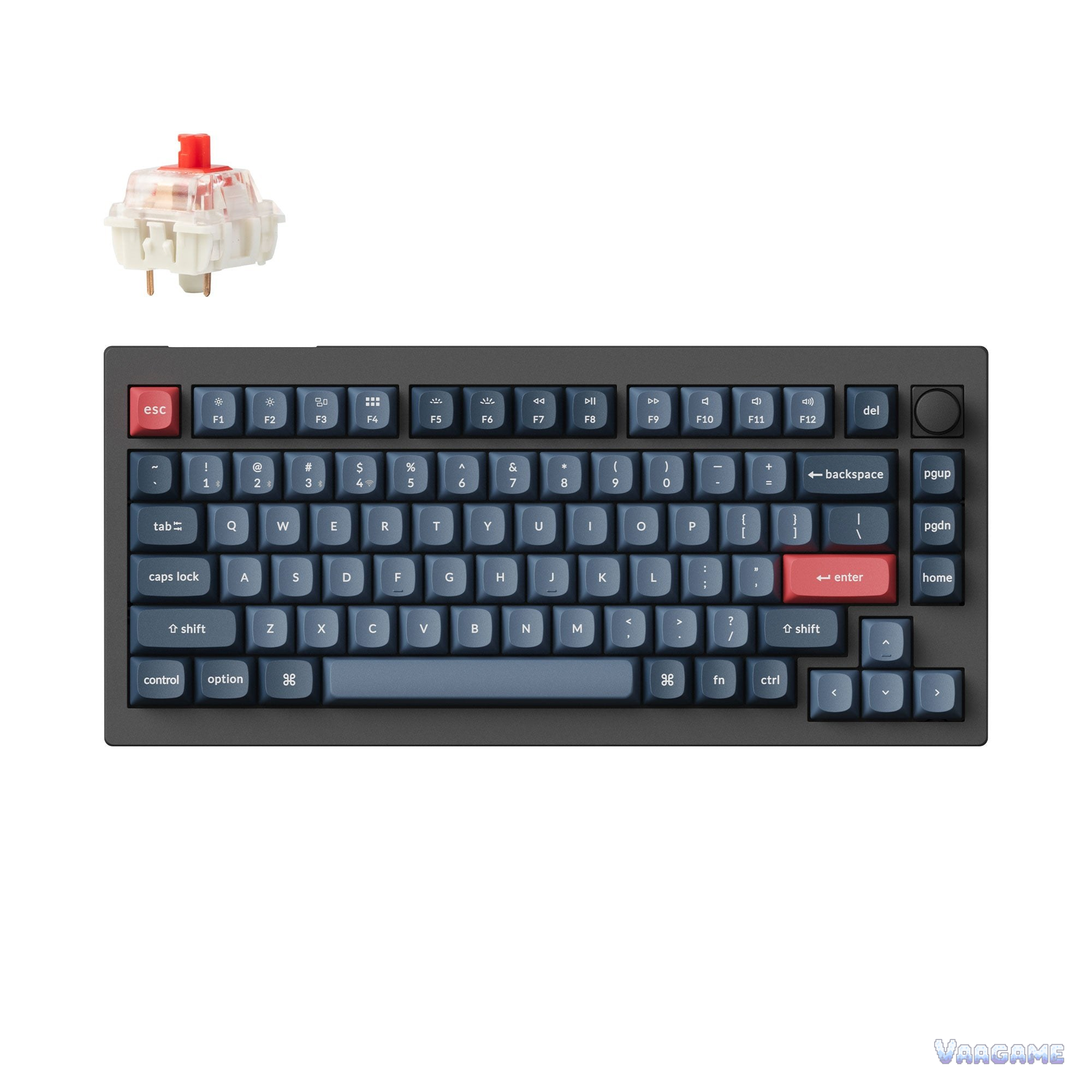 Keychron V1 Max 俯视图与 Jupiter 轴体