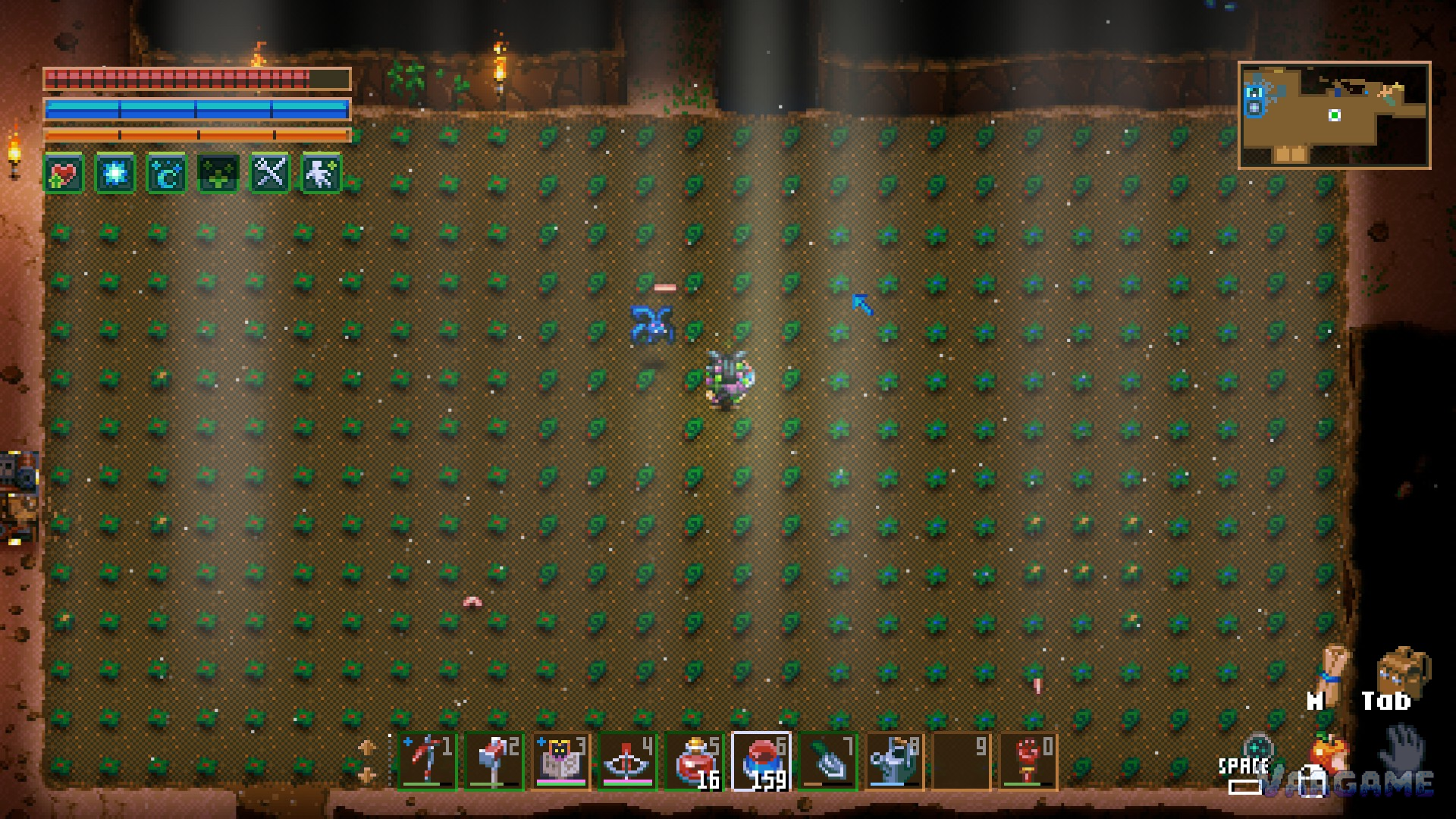 A giant seedling field laid out in a full grid, hundreds of young plants in rows