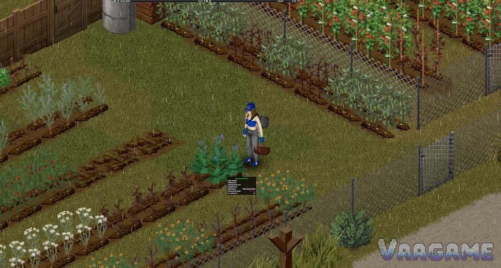 Build 42 seasonal crops reference image