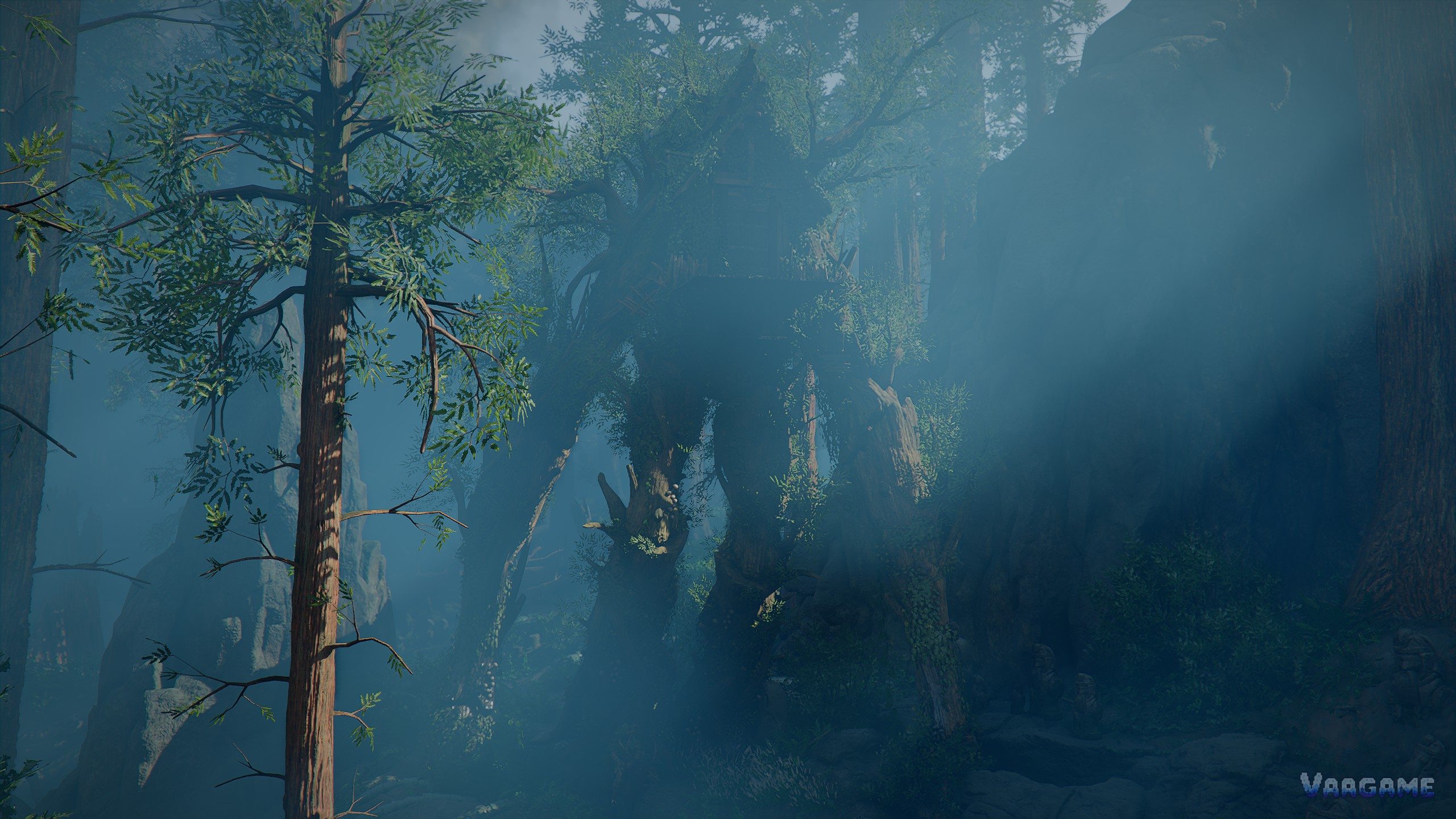 A misty forest valley: if this kind of vista stutters, start with the SSD check, not with a new graphics card.