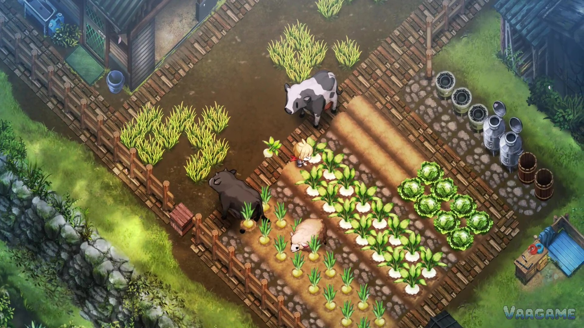 Daytime farming gameplay with crop fields, a cow, a sheep and a farmhouse in Kagatsu village